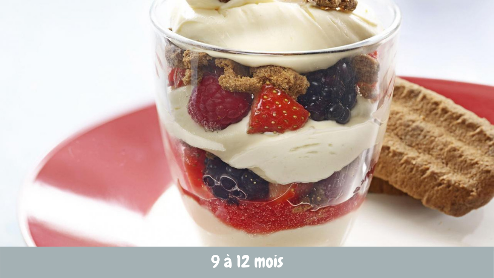 Delicious Vanilla Cream and Berry Smoothie Delight