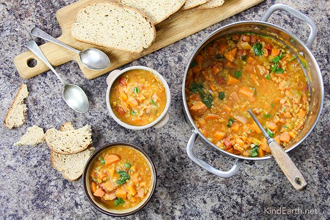 Easy Vegan Lentil and Vegetable Soup